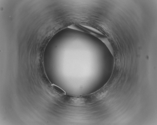 X0000088610221200706081442