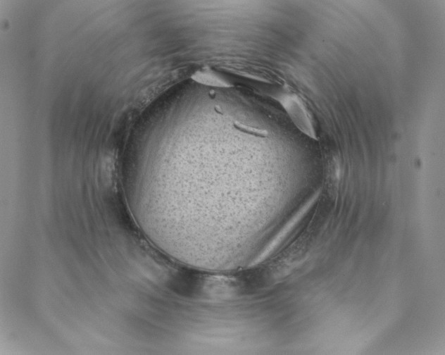 X0000088610222200706081442