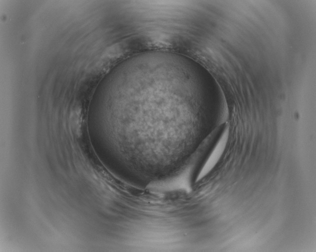 X0000088610223200706081442