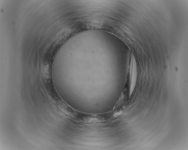 X0000088610224200706081442