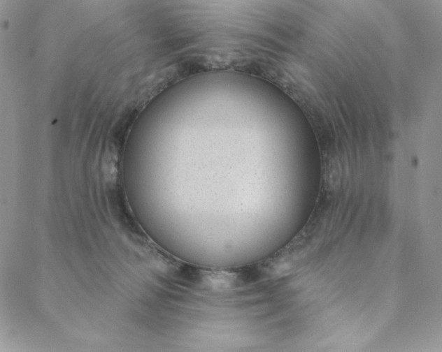 X0000088610226200706081442