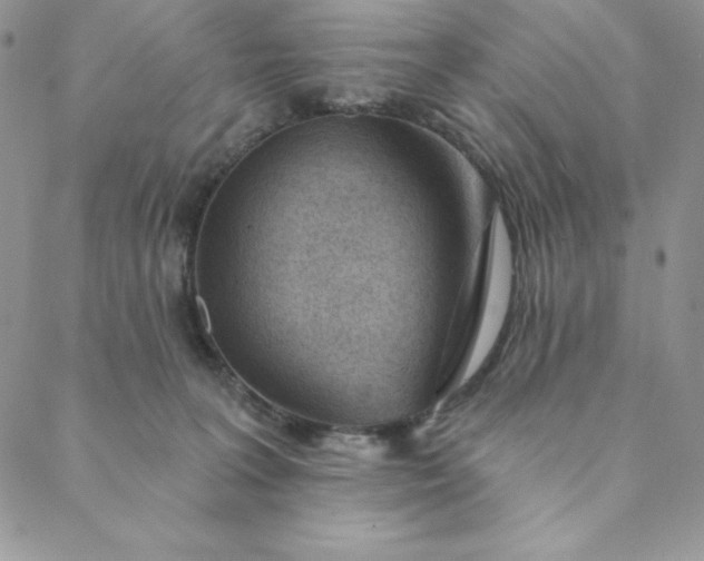 X0000088610227200706081442