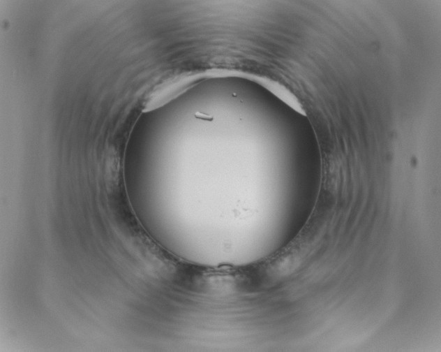 X0000088610228200706081442