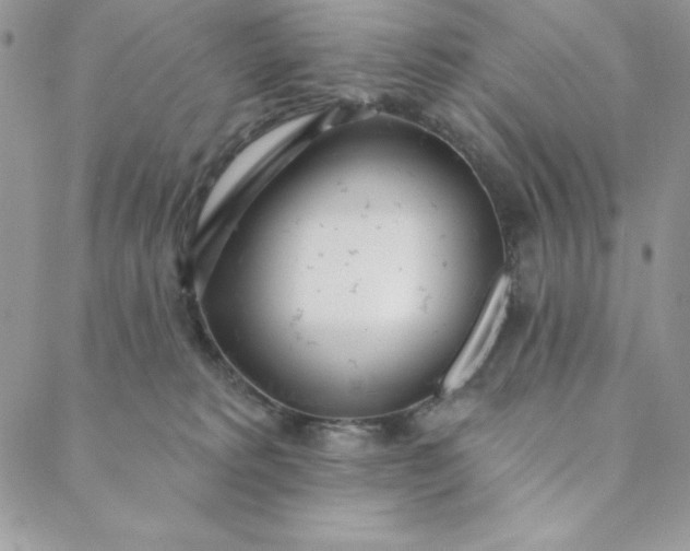 X0000088610229200706081442