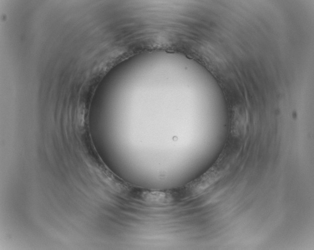 X0000088610230200706081442