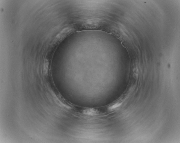 X0000088610231200706081442