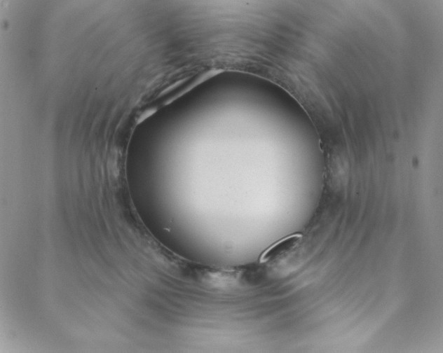 X0000088610232200706081442