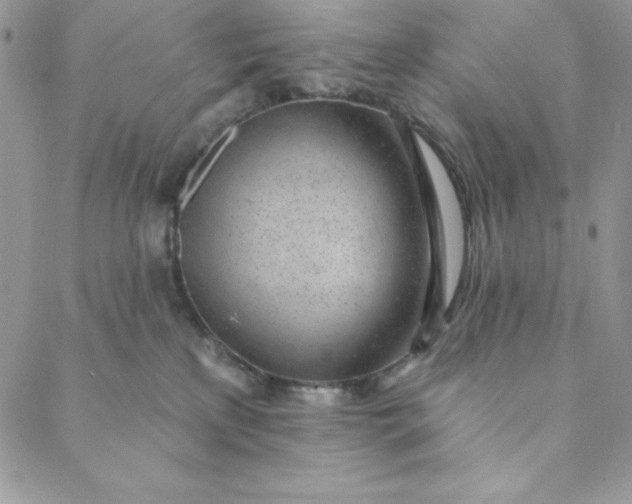 X0000088610233200706081442