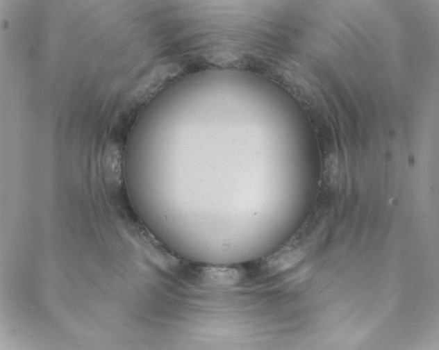 X0000088610234200706081442