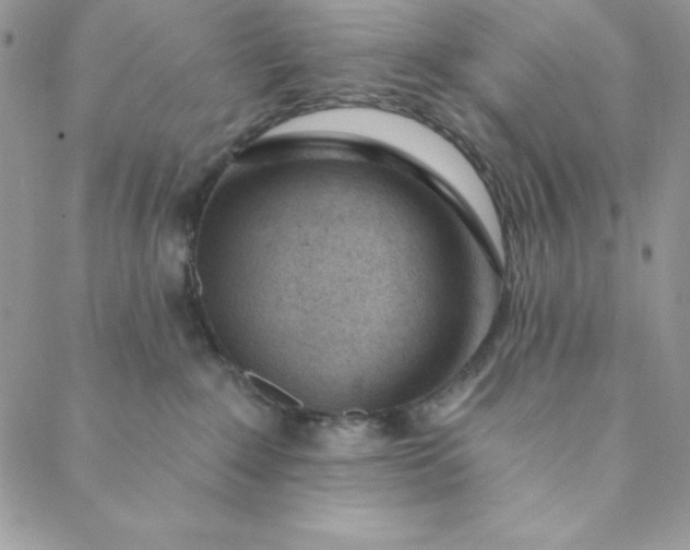 X0000088610235200706081442