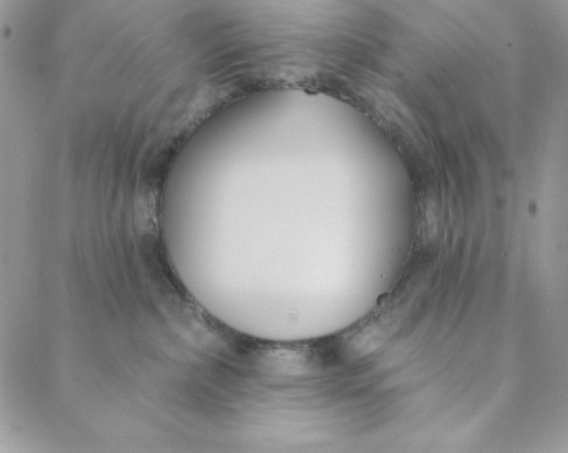 X0000088610236200706081442