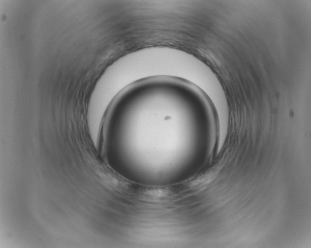 X0000088610237200706081442