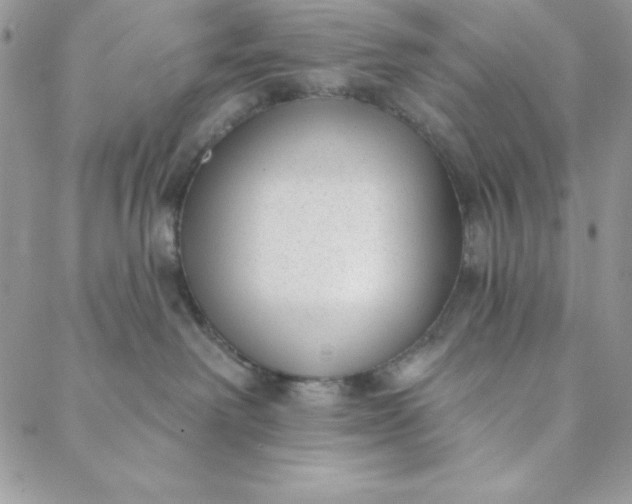 X0000088610238200706081442