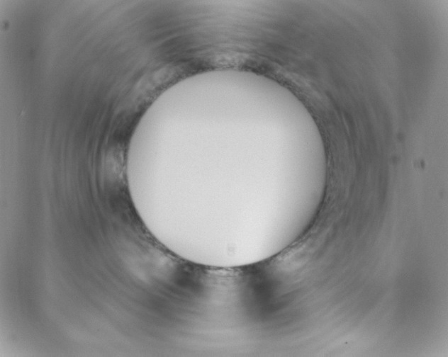 X0000088610240200706081442