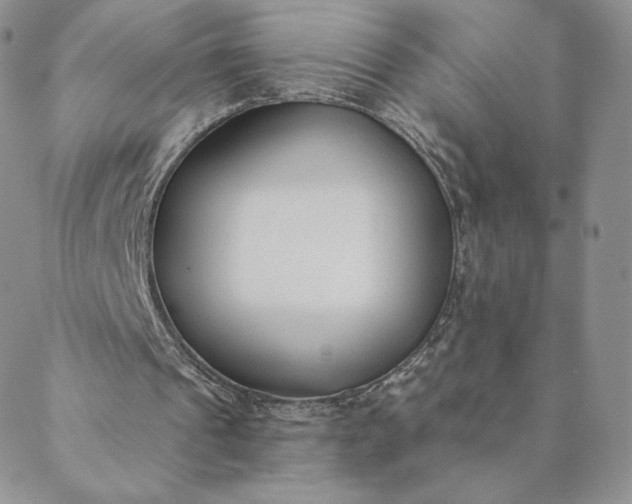 X0000088610241200706081441