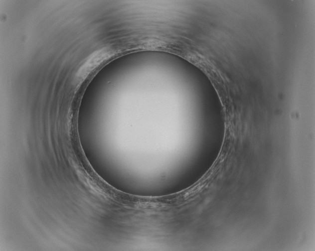 X0000088610242200706081441