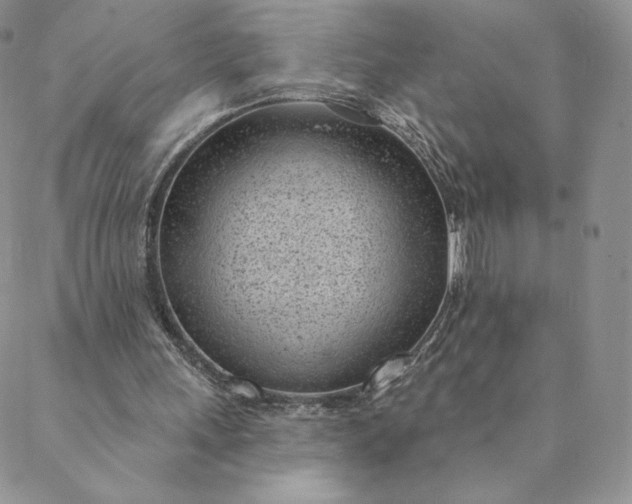 X0000088610243200706081441