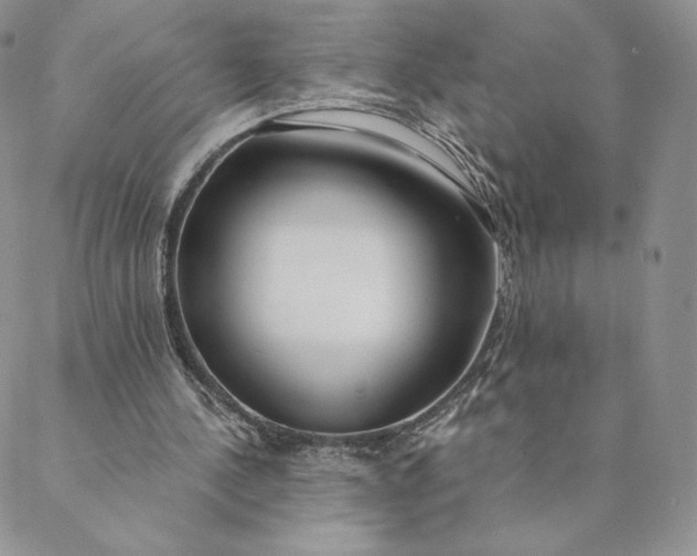 X0000088610244200706081441