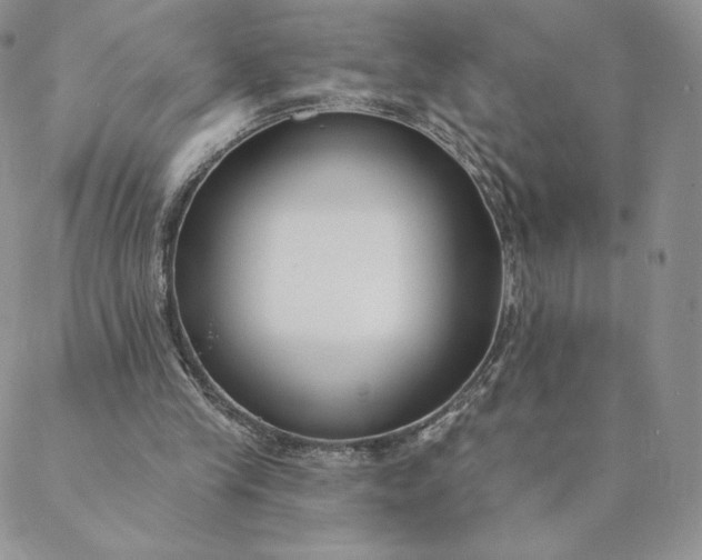 X0000088610245200706081441