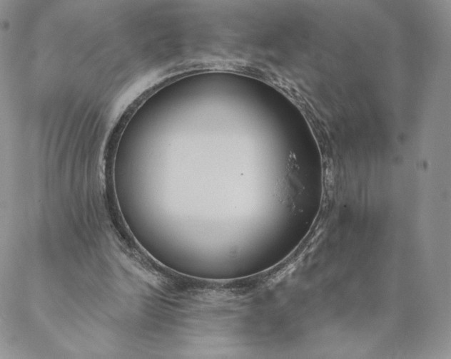 X0000088610246200706081441