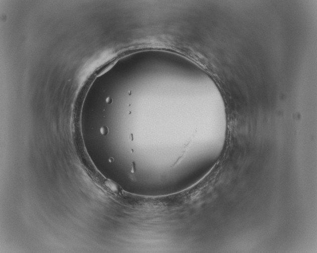 X0000088610248200706081441