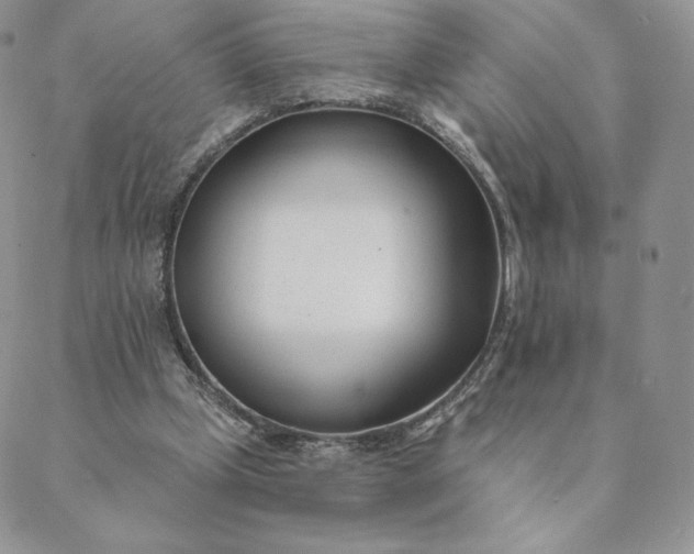 X0000088610249200706081441