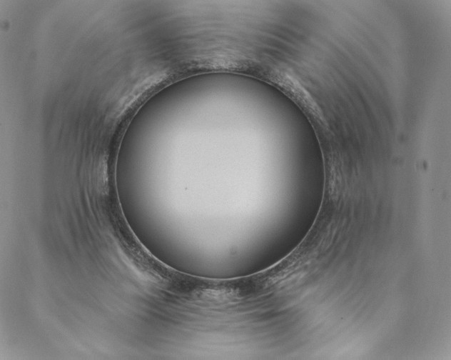 X0000088610251200706081441