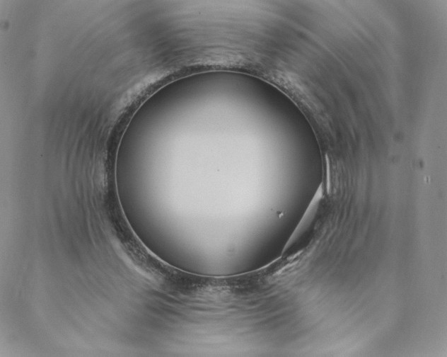 X0000088610252200706081441