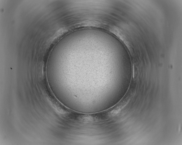 X0000088610253200706081441