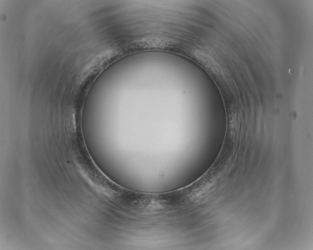 X0000088610254200706081441