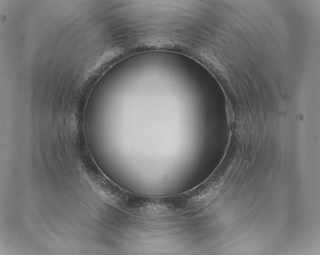 X0000088610256200706081441