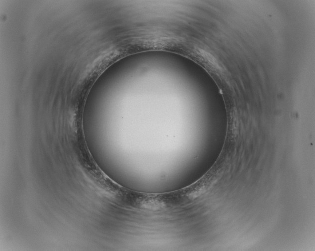 X0000088610258200706081441