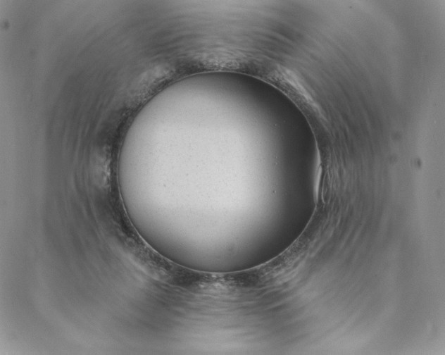 X0000088610259200706081441