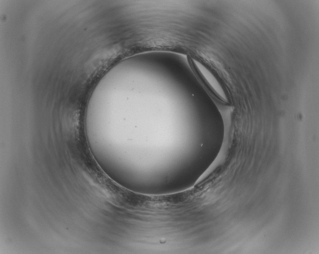 X0000088610260200706081441