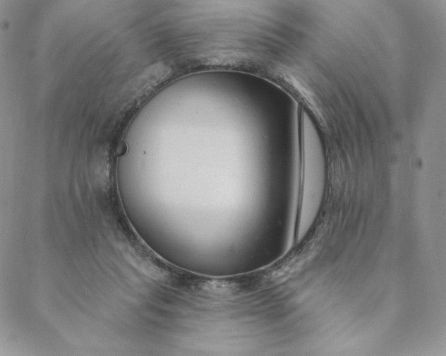 X0000088610261200706081441