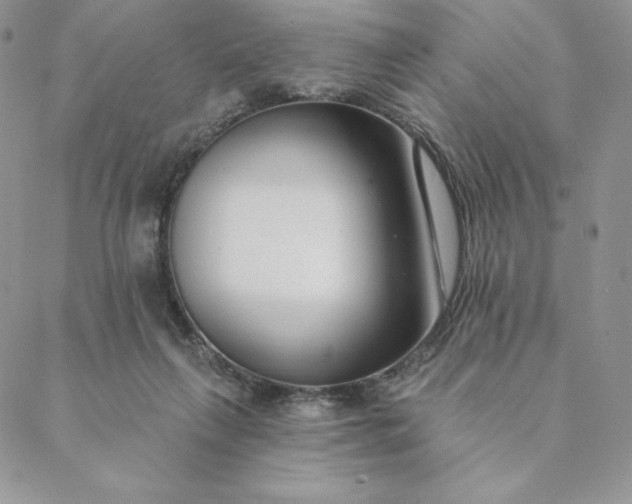 X0000088610263200706081441