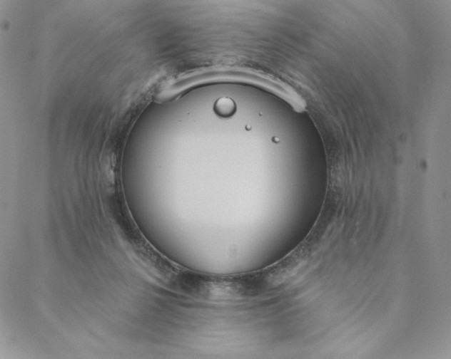 X0000088610264200706081441