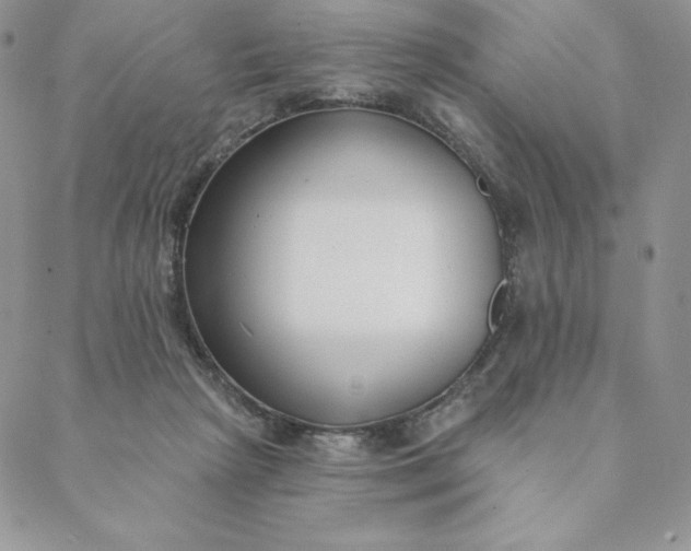 X0000088610265200706081441