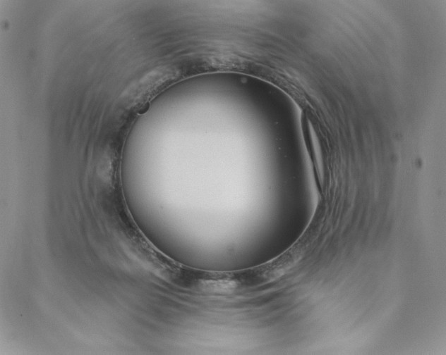 X0000088610266200706081441