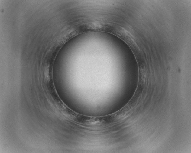 X0000088610267200706081441