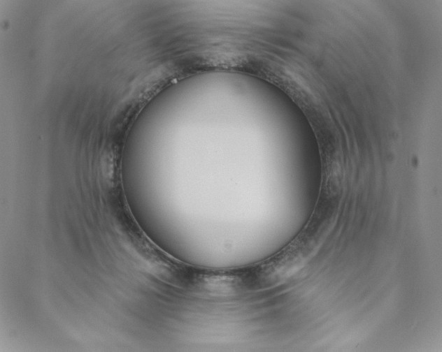 X0000088610268200706081441