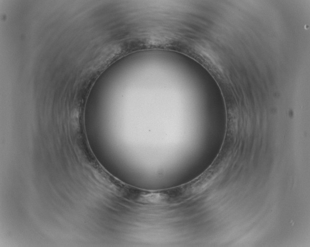 X0000088610269200706081441