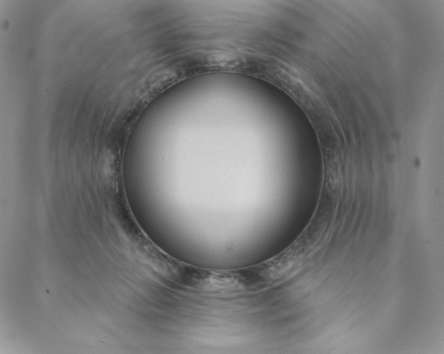 X0000088610270200706081441