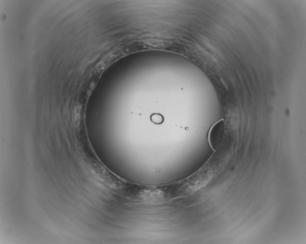 X0000088610271200706081441