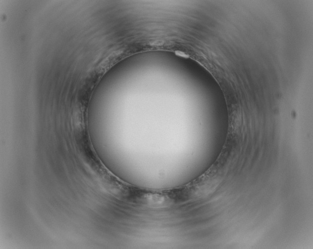 X0000088610272200706081441