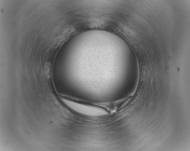 X0000088610273200706081442