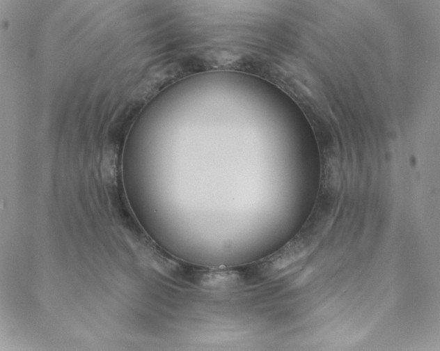 X0000088610274200706081442