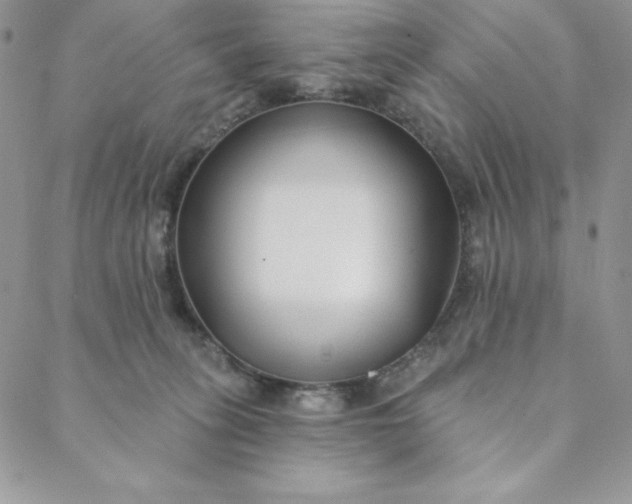 X0000088610275200706081442