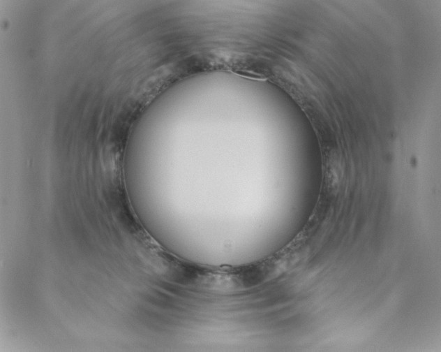 X0000088610276200706081442