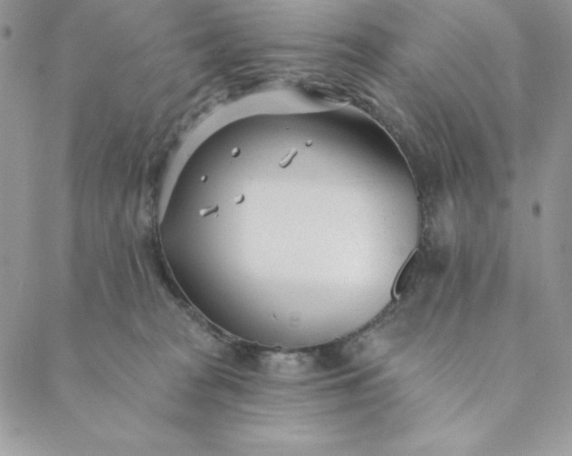 X0000088610277200706081442